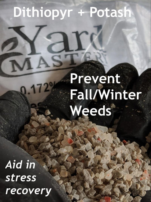 Fall Pre-Emergent Lawn Care Strategies