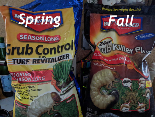 Fall Brown Spots Could It Be Grubs