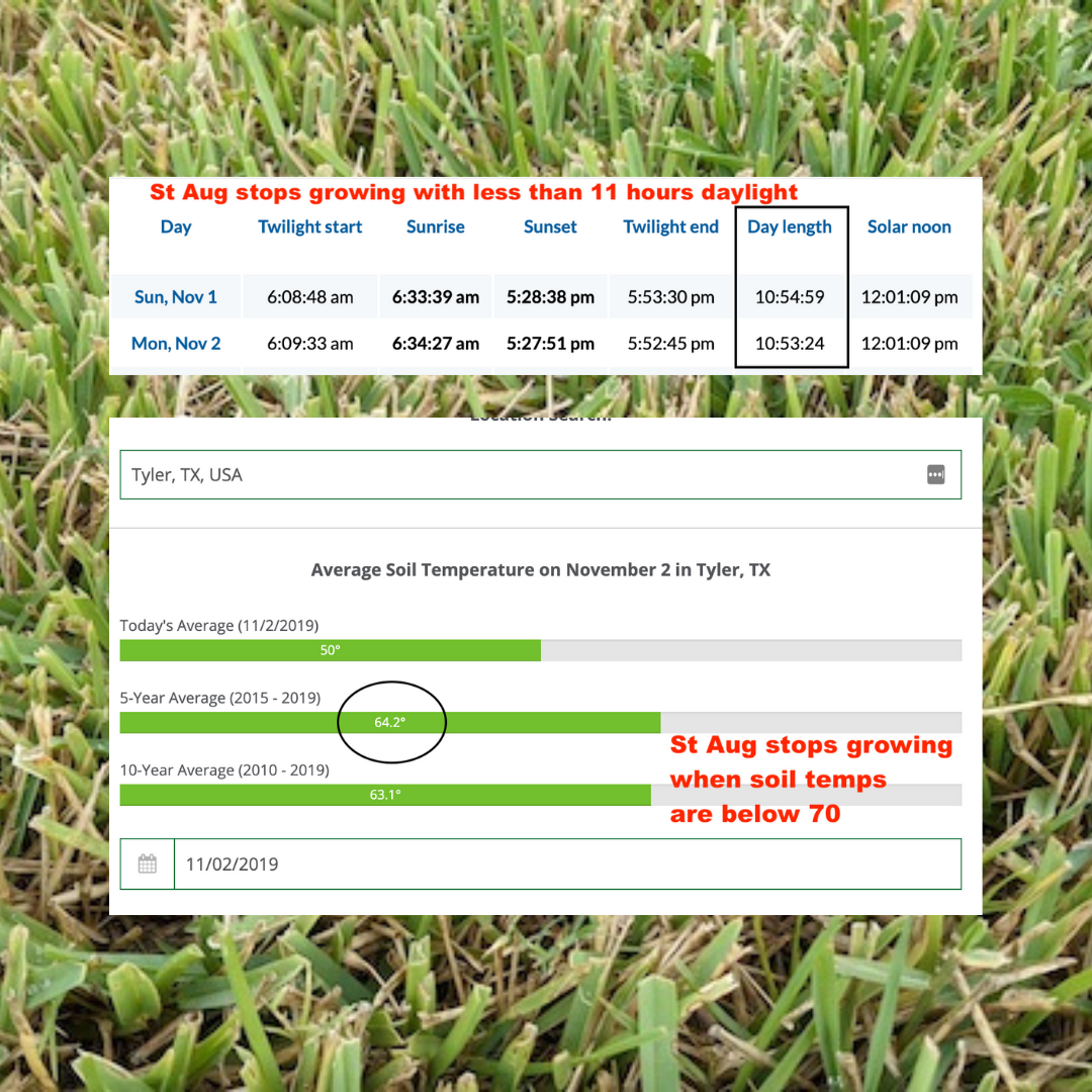 Will Brown Grass Come Back?