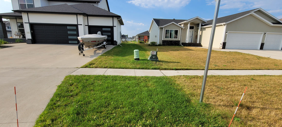 How to Fix Your Ugly Lawn This Fall | No Seeding Needed