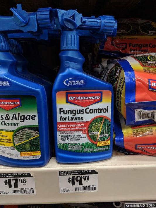 How To Prevent Lawn Fungus & Disease