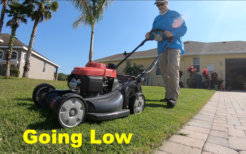 PreEmergent Got Snowed On and First Cut Zoysia The Lawn Care Nut