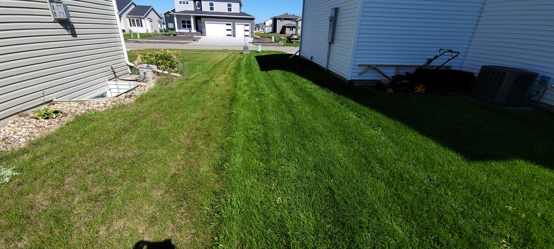 Fall Lawn Care Seeding and Fertilizing Questions