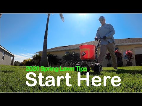 Early Season Lawn Questions and NEW Biochar X-Soil