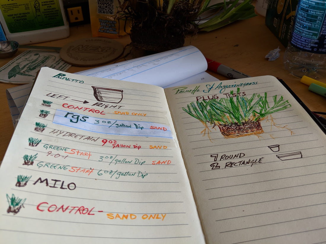 Behind the Scenes: How the LCN Journals Started