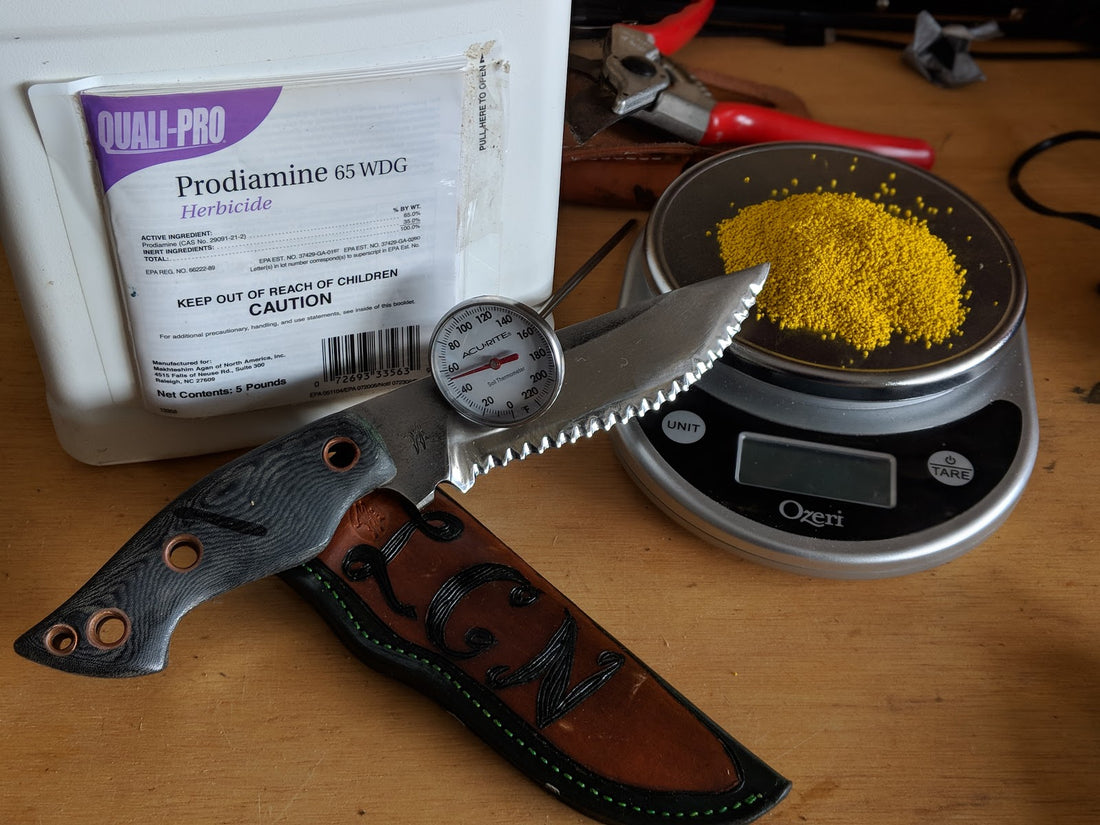 When To Apply Prodiamine 65 WDG (Water Dispersible Granule) In Spring Using Split Applications Part 2