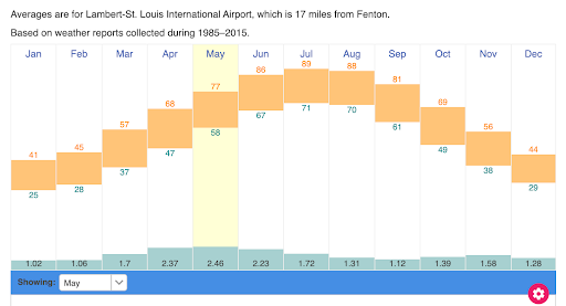 Watering Your Lawn This Summer