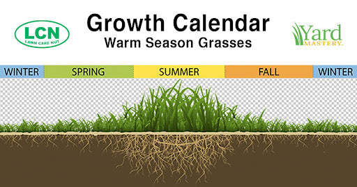 How To Have a Nice Lawn In Summer - Warm Season Grasses – LawnCareNut