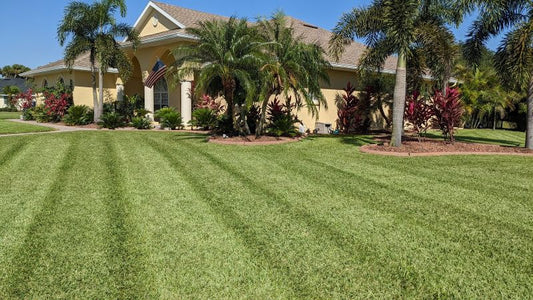 Lawn Tips From Spring into Summer