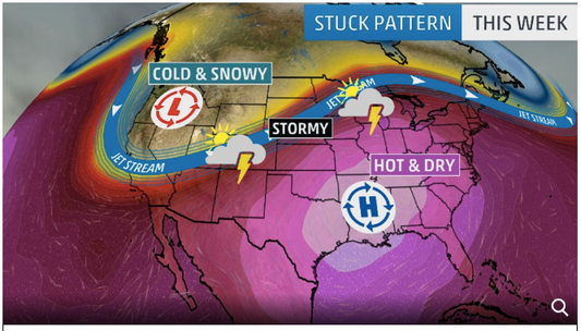 Cool Season Lawns - Seeding and Not Seeding