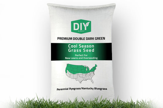 DIY Premium Double Dark Green Grass Seed - Cool Season Blend | MySoil