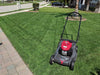 How Much Nitrogen To Put On Your Lawn This Summer