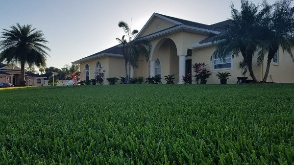 How To Get A Double Dark Green Lawn