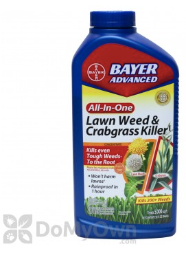 Summer Lawn FAQs - What you can and can't do with your weed control during the summer