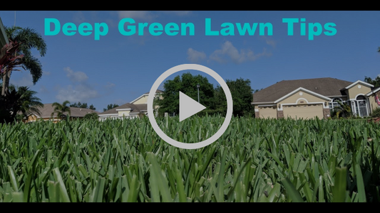 Secret To A Green Lawn All Summer