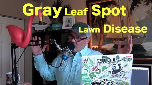 How To Prep Your Lawn for Vacation & Fixing Gray Leaf Spot Disease