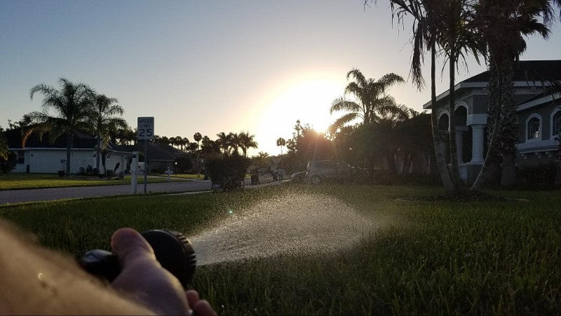 It's Critical GO TIME For Your Lawn