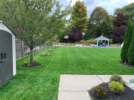 How To Choose Lawn Fertilizer Based On A Soil Test