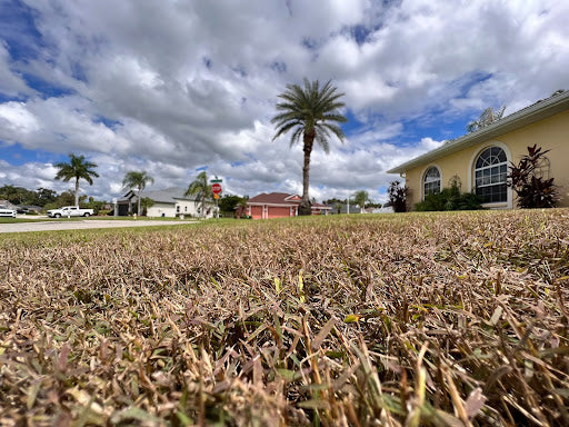 The Ultimate Guide to Removing Bermuda Grass from St Augustine Lawns