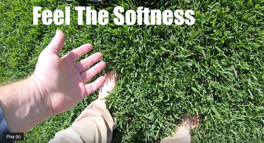 How To Have The Softest Lawn in 2020