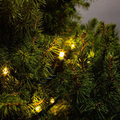 5mm Light String 50ct Balled-6" Spacing | Christmas Lights