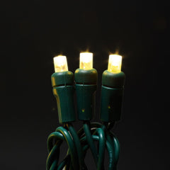5mm Light String 50ct Balled-6" Spacing | Christmas Lights