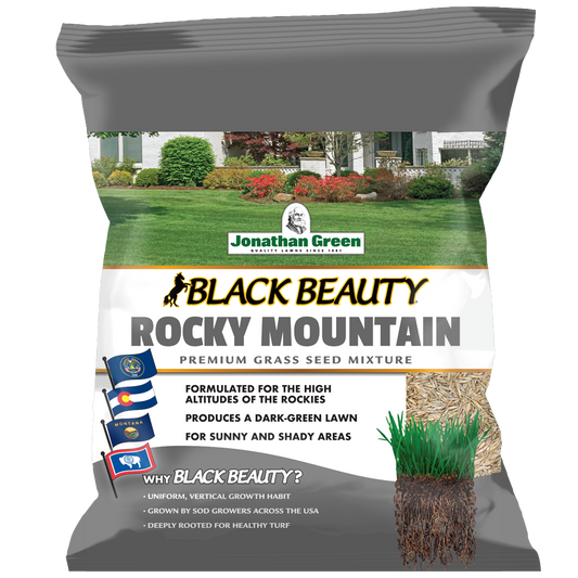 Black Beauty Rocky Mountain Grass Seed | Jonathan Green