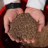8-0-3 Soil Fit - Natural Based Fertilizer | Yard Mastery