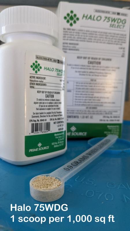 select herbicide application rates Halo 75Wdg Select Sedge & Broadleaf Killer by AM Leonard