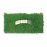 Bimini Bermuda Sod Pods Grass Plugs | Bethel Farms