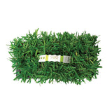 Floratam Sod Pods Grass Plugs | Bethel Farms