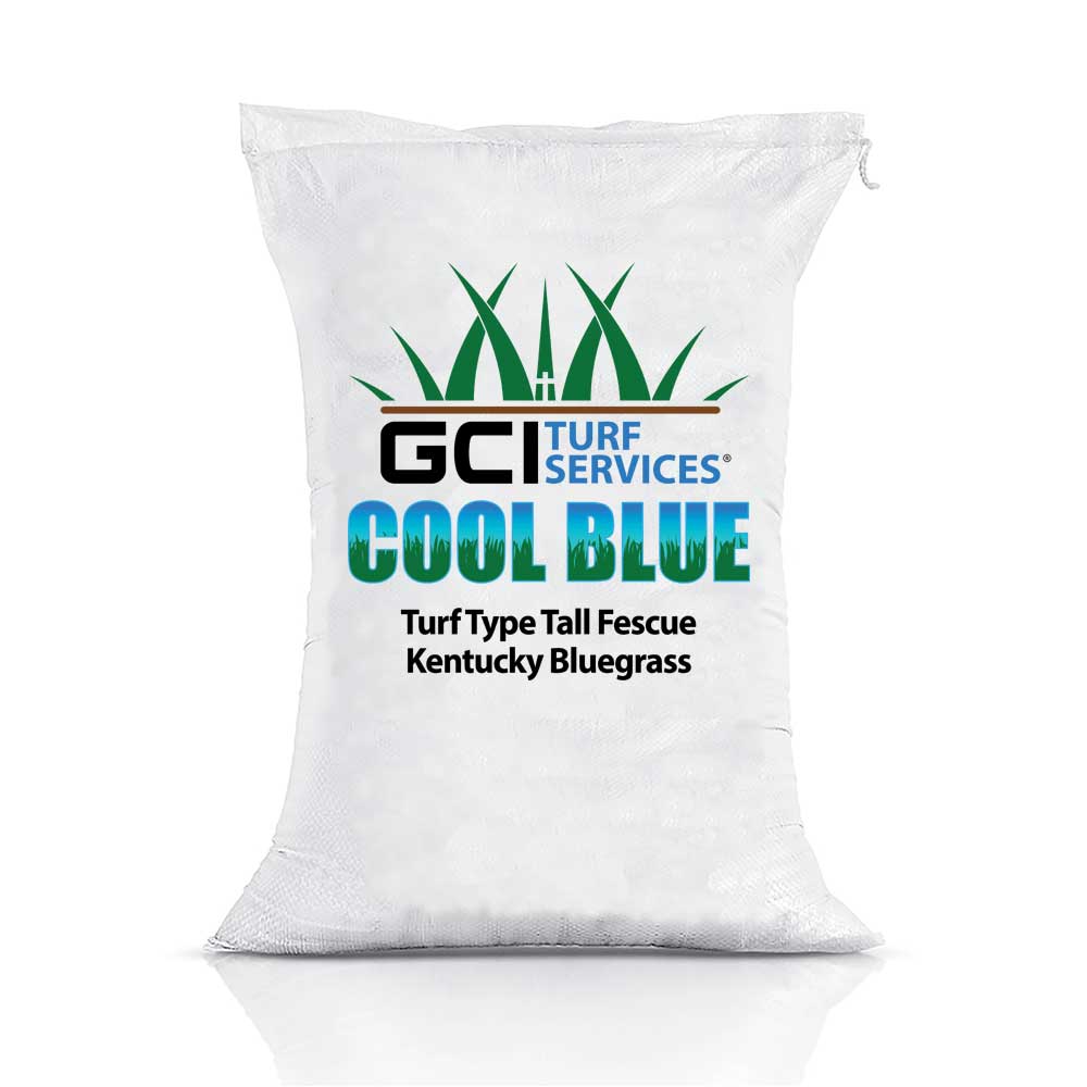 Blue Turfgrass Cool Blue Turf Type Tall Fescue/Kentucky Bluegrass Grass Seed | GCI ...