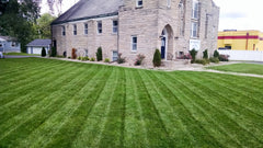 Cool & Warm Season Turf - Digital Lawn Programs