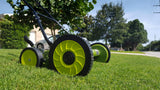 Warm Season Turf - Hybrid Organic Digital Lawn Program