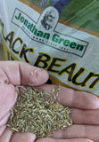 Black Beauty Ultra Grass Seed | Jonathan Green