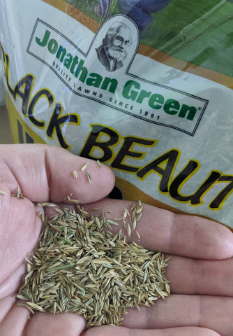 Jonathan Green Black Beauty Ultra Grass Seed – 3lb Bag (2-Pack) – Made In USA, Sun & Shade Mix